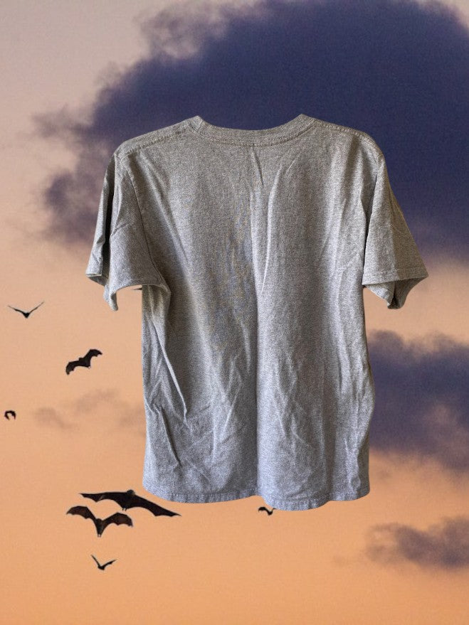 Step into the world of your favorite superhero with this DC Comics Originals Graphic Tee