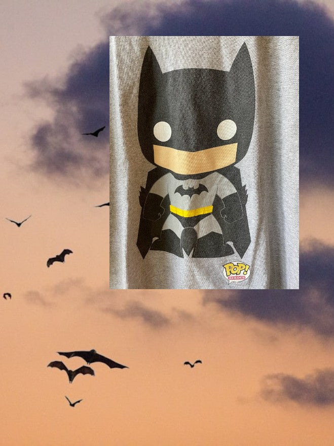 Step into the world of your favorite superhero with this DC Comics Originals Graphic Tee